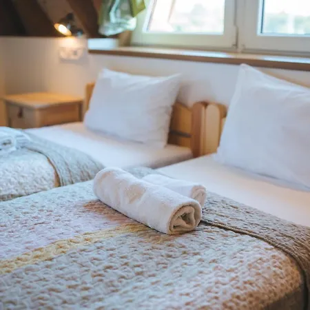 Frühstückspension Kormoran Toparti Szobak 3*